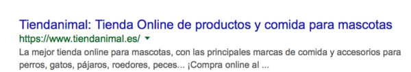 Como posicionar tu marca en Google - Tienda Animal