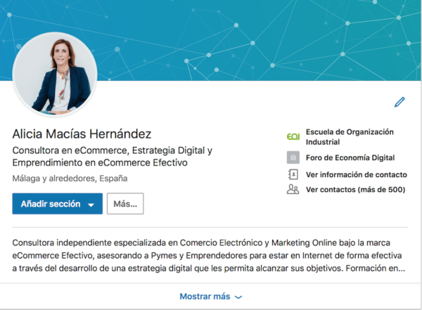 Marketing Digital para Profesionales Independientes - Linkedin